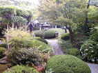 桑山美術館-庭