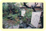 展示風景
